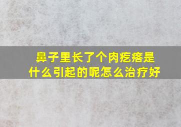 鼻子里长了个肉疙瘩是什么引起的呢怎么治疗好