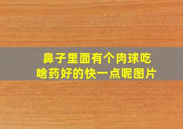 鼻子里面有个肉球吃啥药好的快一点呢图片