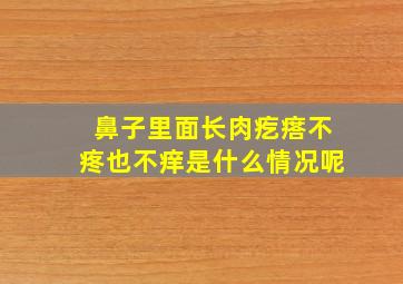 鼻子里面长肉疙瘩不疼也不痒是什么情况呢