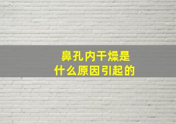 鼻孔内干燥是什么原因引起的