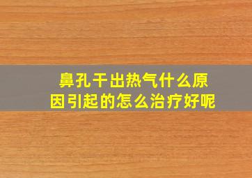 鼻孔干出热气什么原因引起的怎么治疗好呢