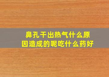 鼻孔干出热气什么原因造成的呢吃什么药好