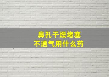 鼻孔干燥堵塞不通气用什么药