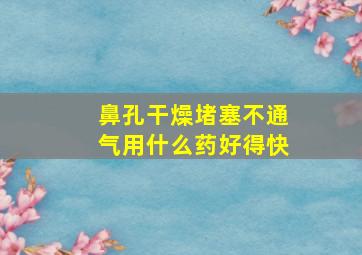 鼻孔干燥堵塞不通气用什么药好得快