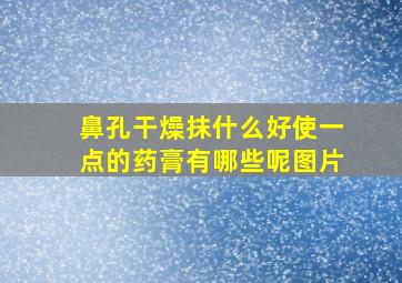 鼻孔干燥抹什么好使一点的药膏有哪些呢图片