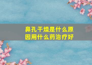 鼻孔干燥是什么原因用什么药治疗好