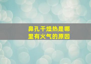 鼻孔干燥热是哪里有火气的原因