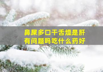 鼻屎多口干舌燥是肝有问题吗吃什么药好