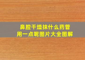 鼻腔干燥抹什么药管用一点呢图片大全图解