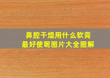 鼻腔干燥用什么软膏最好使呢图片大全图解