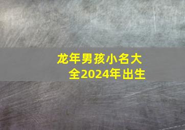 龙年男孩小名大全2024年出生