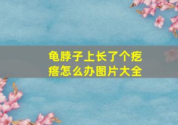 龟脖子上长了个疙瘩怎么办图片大全