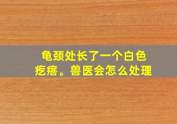 龟颈处长了一个白色疙瘩。兽医会怎么处理