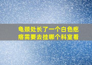 龟颈处长了一个白色疙瘩需要去挂哪个科室看