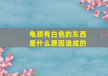 龟颈有白色的东西是什么原因造成的